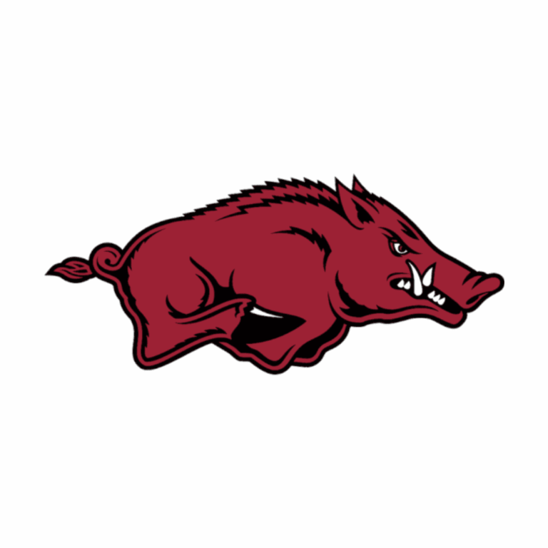 Choose The Best College To Go Pro