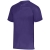 PURPLE (HLW)