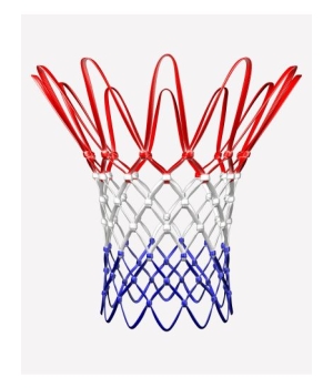 All-⁠Weather Basketball Net