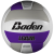 Purple/White/Gray