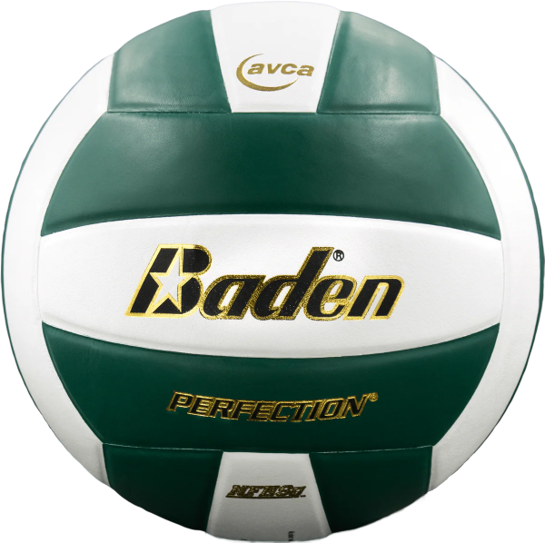 Perfection Leather Volleyball