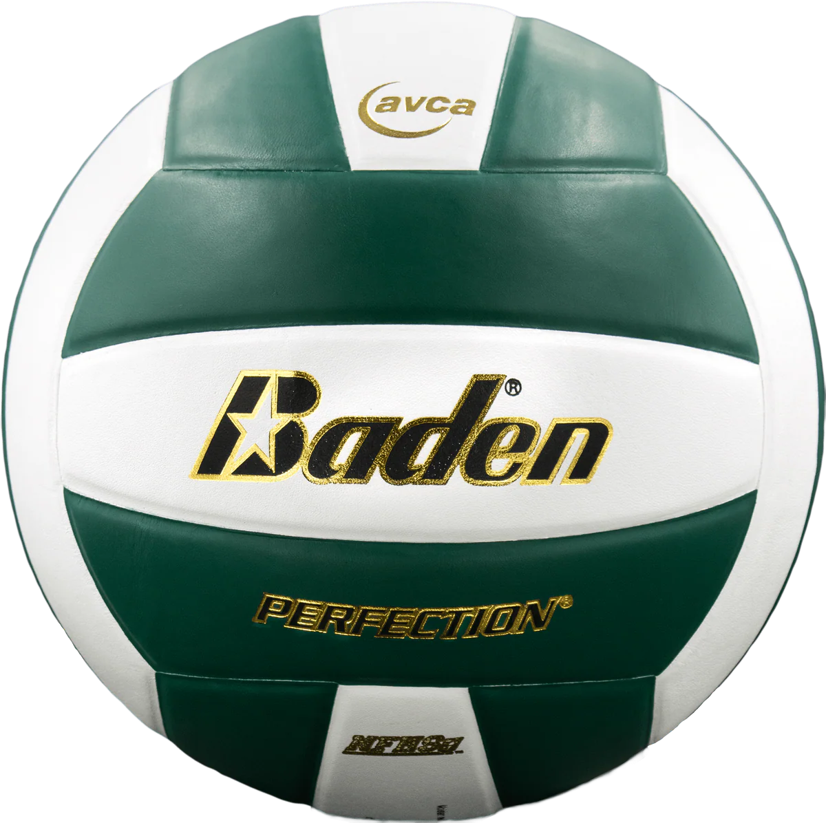Perfection Leather Volleyball - Image 2