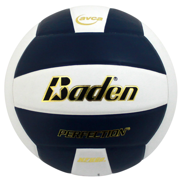 Perfection Leather Volleyball