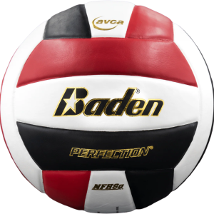 Perfection Leather Volleyball - Image 4