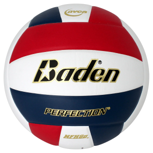 Perfection Leather Volleyball - Image 5
