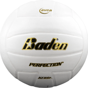 Perfection Leather Volleyball - Image 6