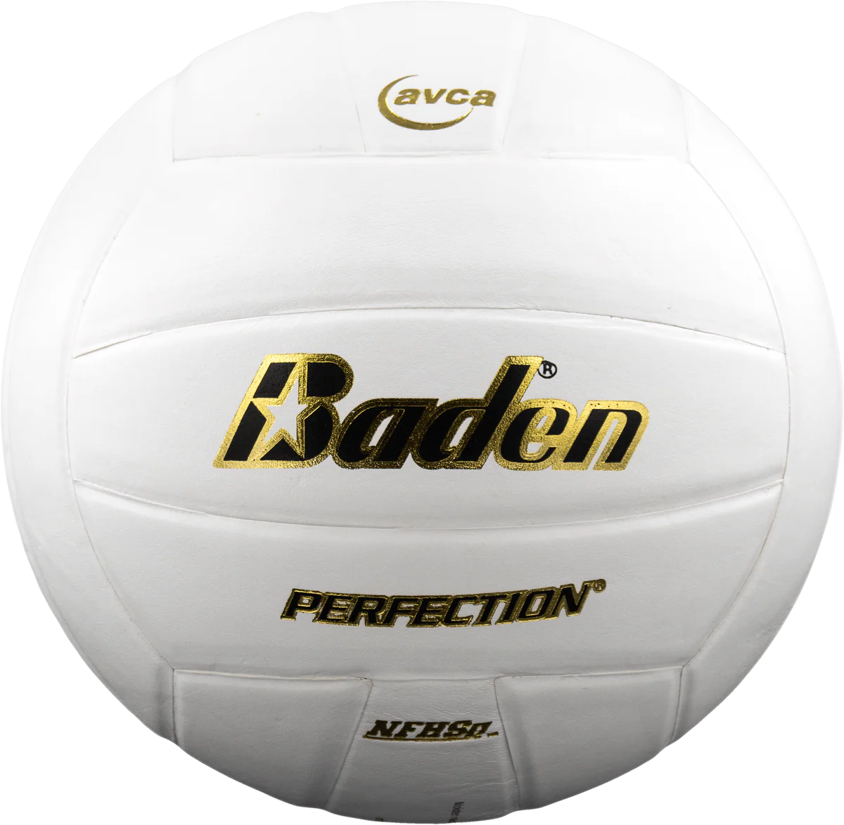 Perfection Leather Volleyball - Image 6