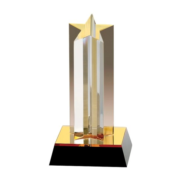 Lone Star Acrylic Award