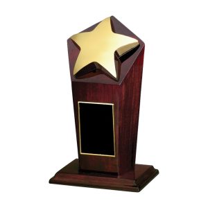 Star Award — 5 x 9 in.