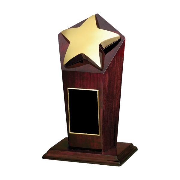 Star Award — 5 x 9 in.
